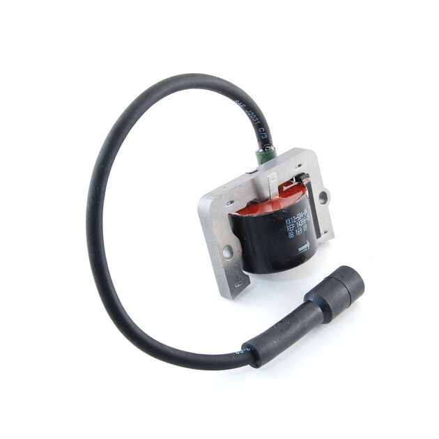 Ignition Module