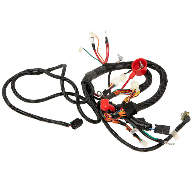 Main Harness