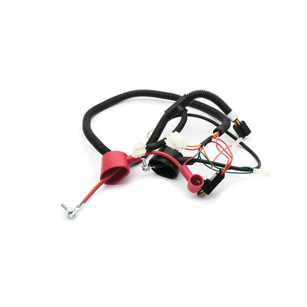 Main Wire Harness