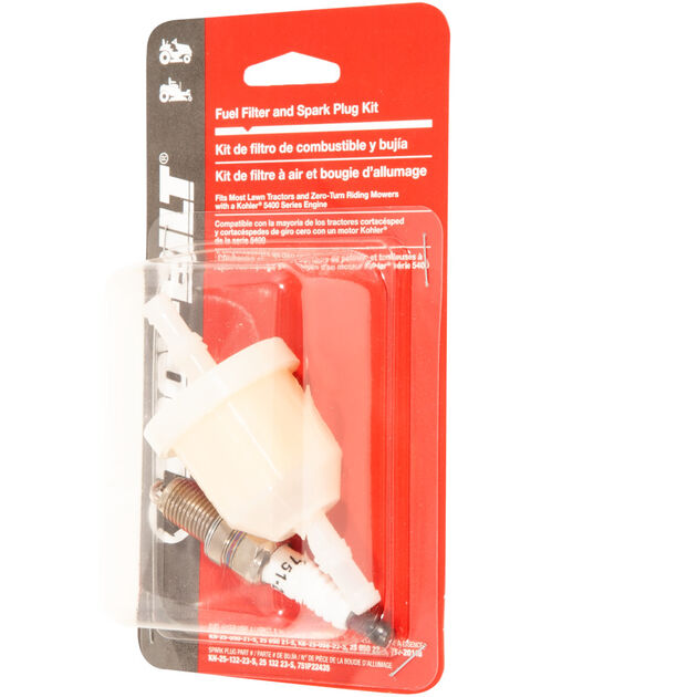 Fuel Filter and Spark Plug Kit