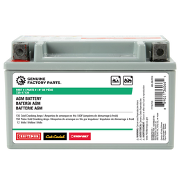 12-Volt AGM Lawn and Garden Battery - 135 CCA