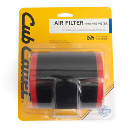Air Filter with Pre-Cleaner