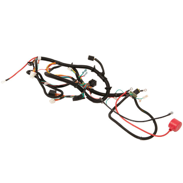 Main Harness