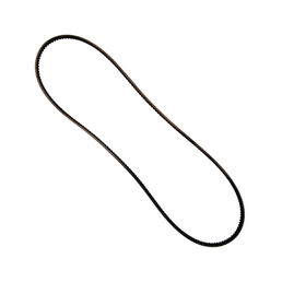 Drive Belt