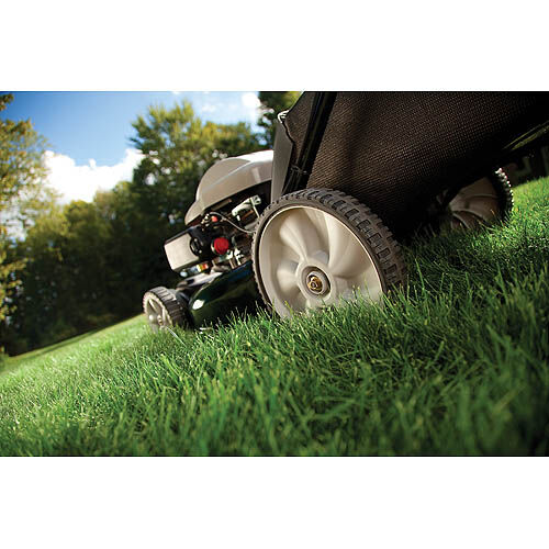 Yardman 173cc lawn best sale mower