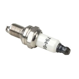 Spark Plug (4 Cycle)