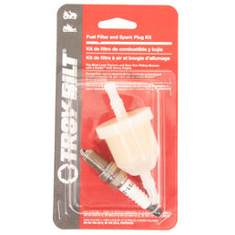 Fuel Filter and Spark Plug Kit