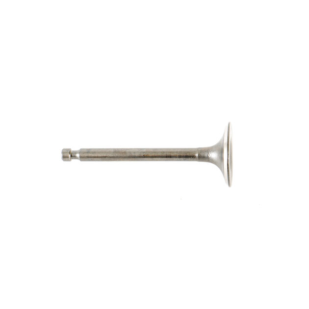 INTAKE VALVE                  