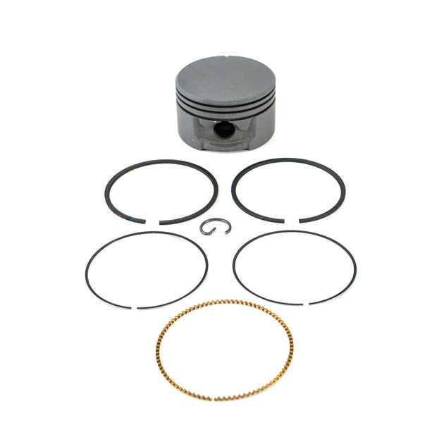 Rings and Piston Assembly Std