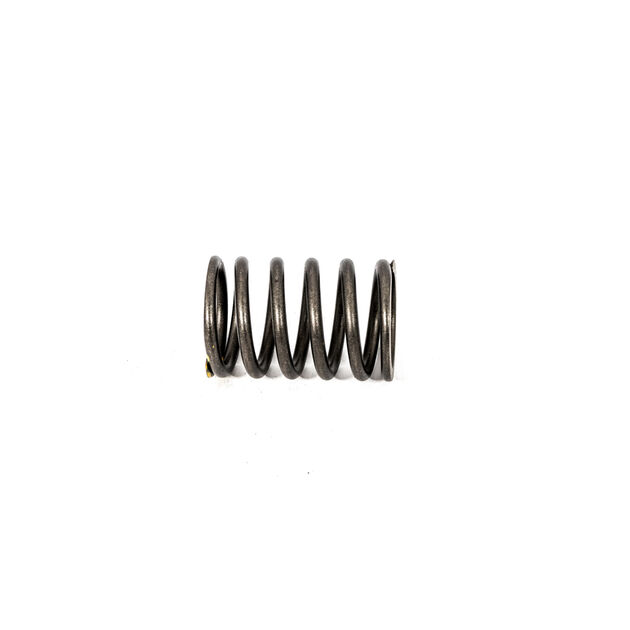 VALVE SPRING                  