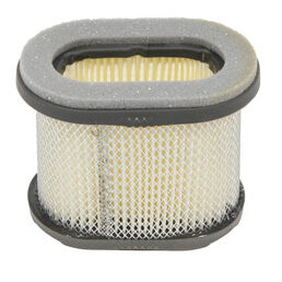 Briggs and Stratton Part Number 697029. Air Filter