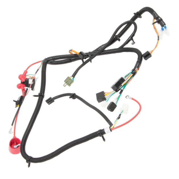 Main Harness