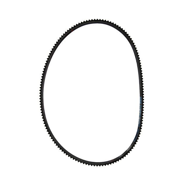 Belt-Ax38 Cogged