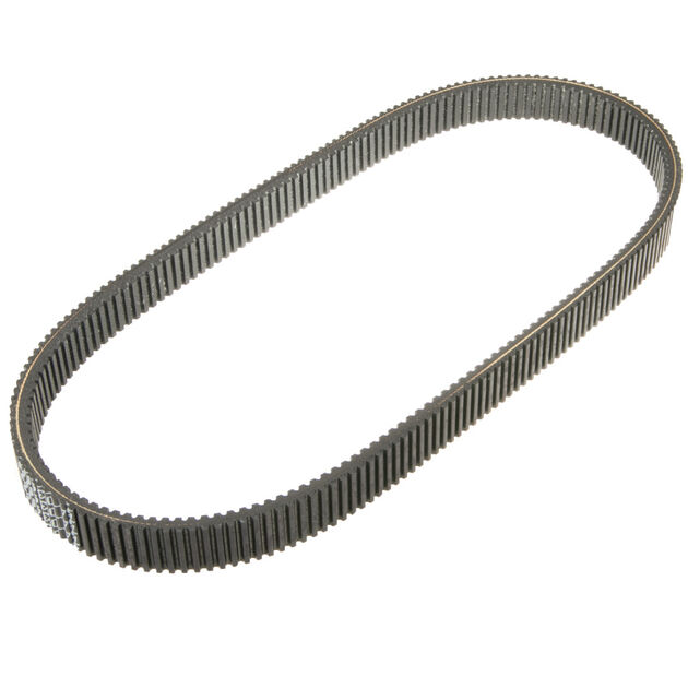 CVT Belt
