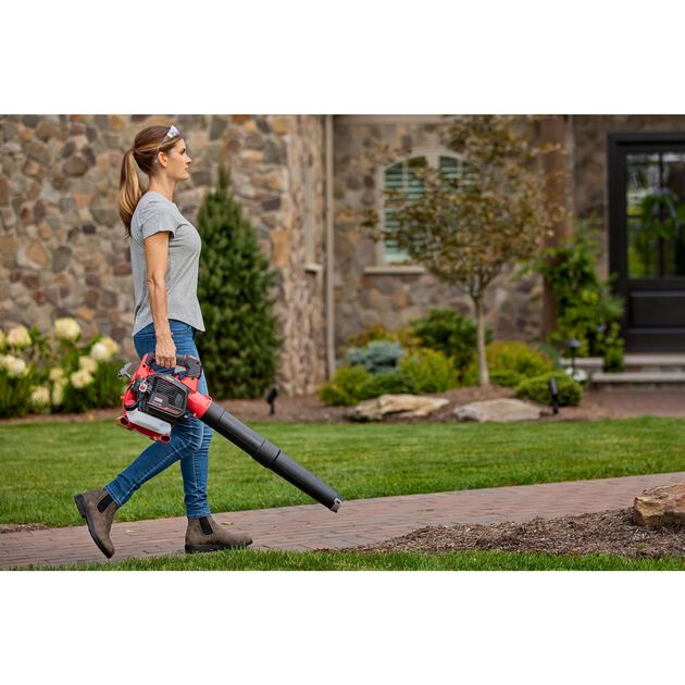 Craftsman B2200 2-Cycle Leaf Blower CMXGAAMRBL25