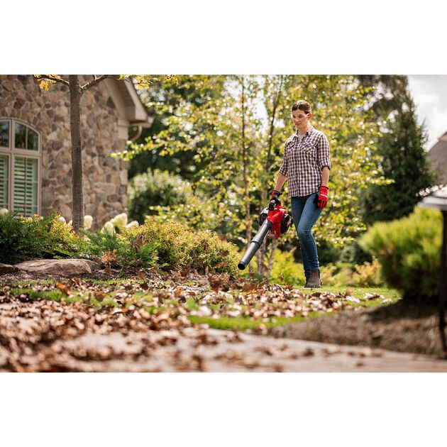 Craftsman B2200 2-Cycle Leaf Blower CMXGAAMRBL25