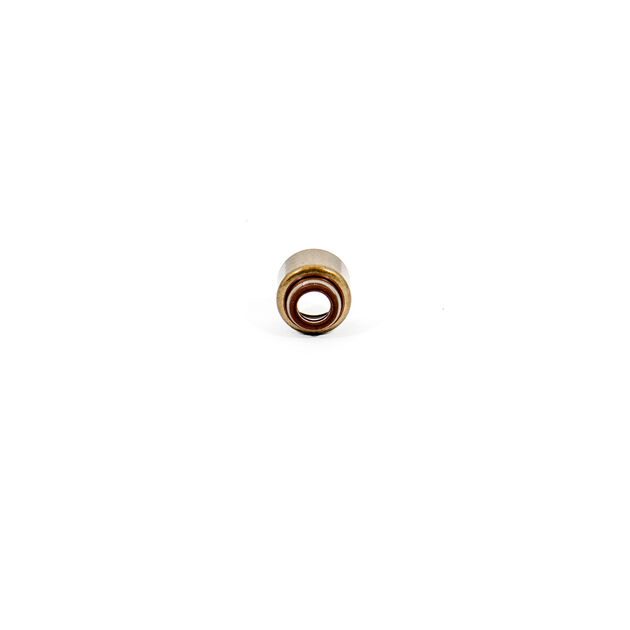 Oil Seal 