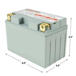 12-Volt Absorbent Glass Mat (AGM) Battery - 210 CCA