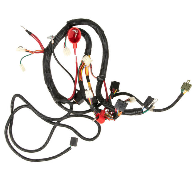 Main Harness