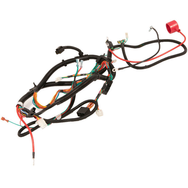 Main Harness
