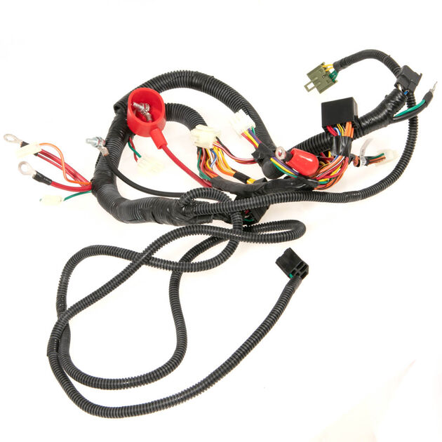 Main Harness