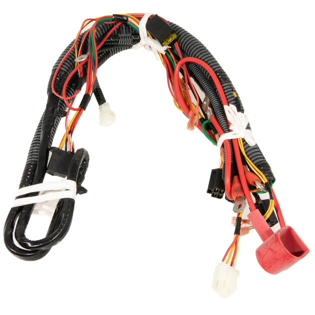 Harness Assembly