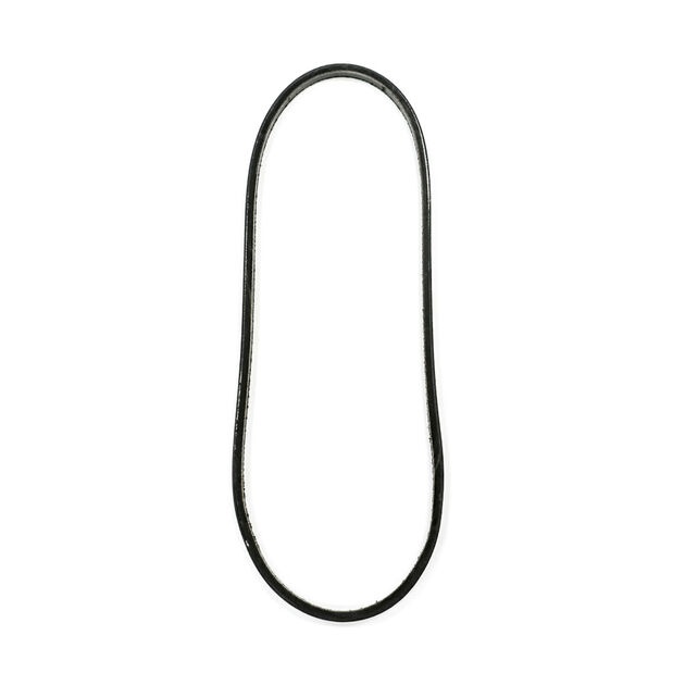 Drive Belt