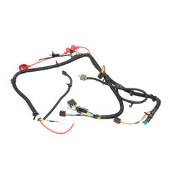 Main Harness