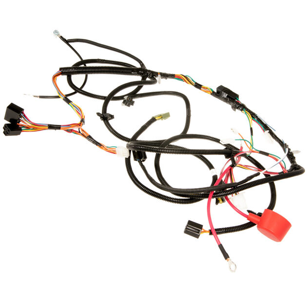 Main Harness