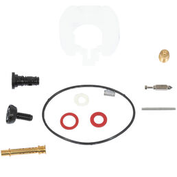 Carburetor Kit (Major)