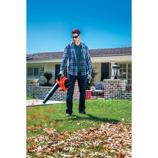 Remington RM125 Brave Leaf Blower