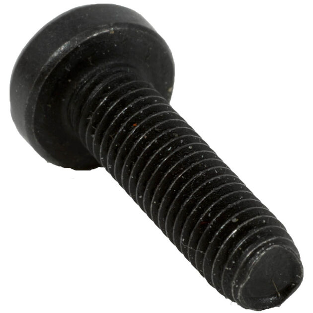 Screw M5-0.8 x 19