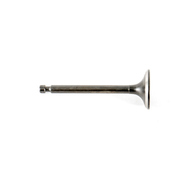 EXHAUST VALVE                 
