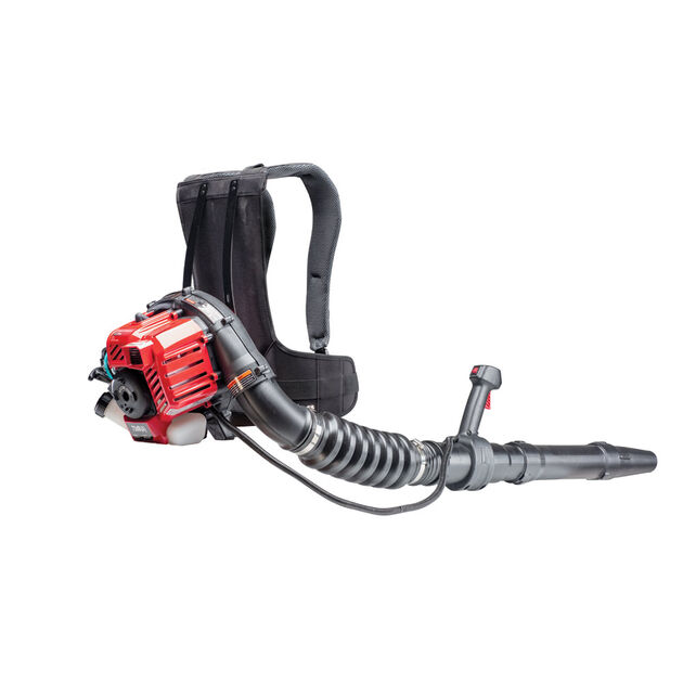 Craftsman 2-Cycle Backpack Leaf Blower CMXGAAMR27BP