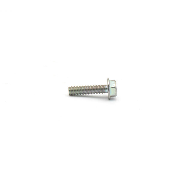 Flanged Bolt 6x25