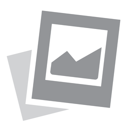Control Lever (LH)